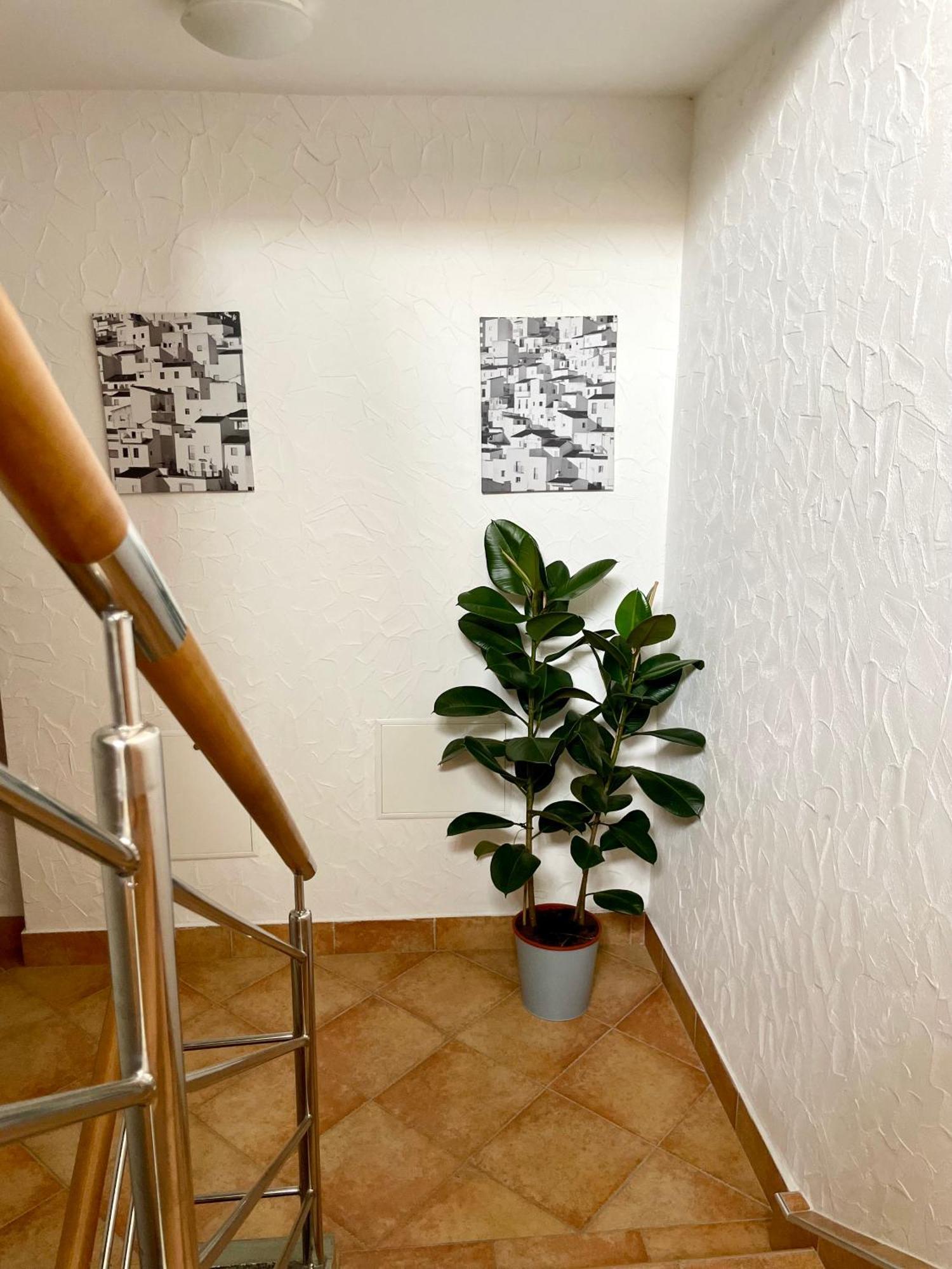 All Seasons Apartments Laško Extérieur photo